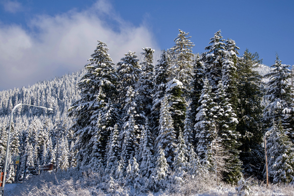 DSC_0612.jpg