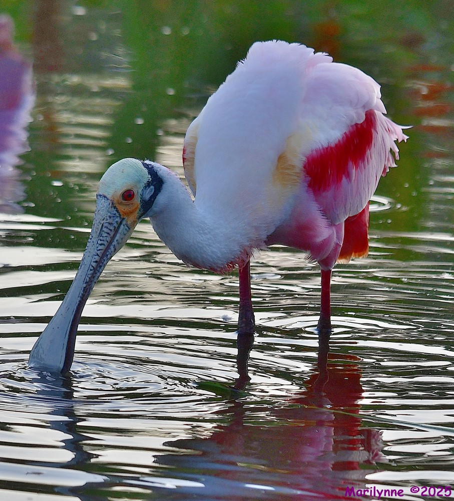 DSC_0613_001.JPG
