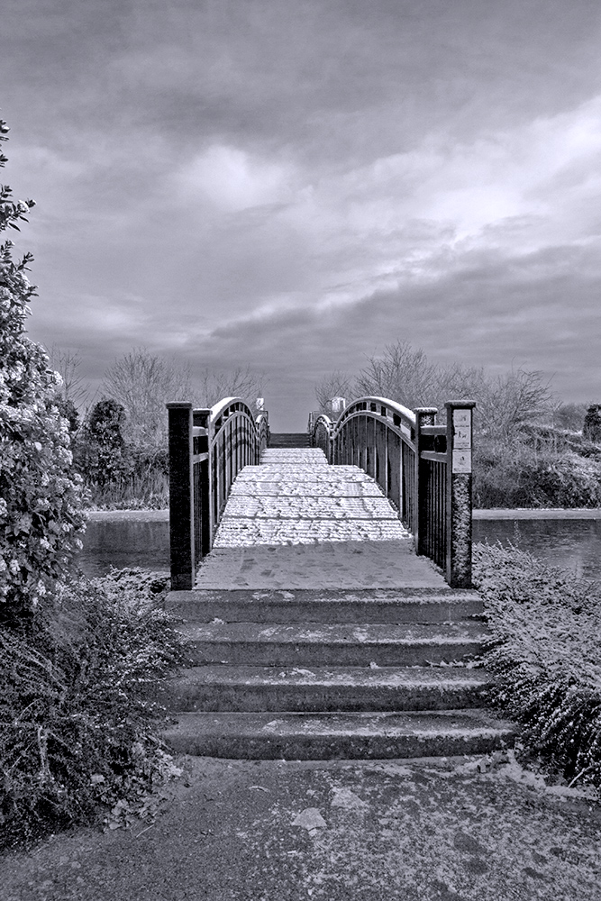 DSC_0615bw.jpg