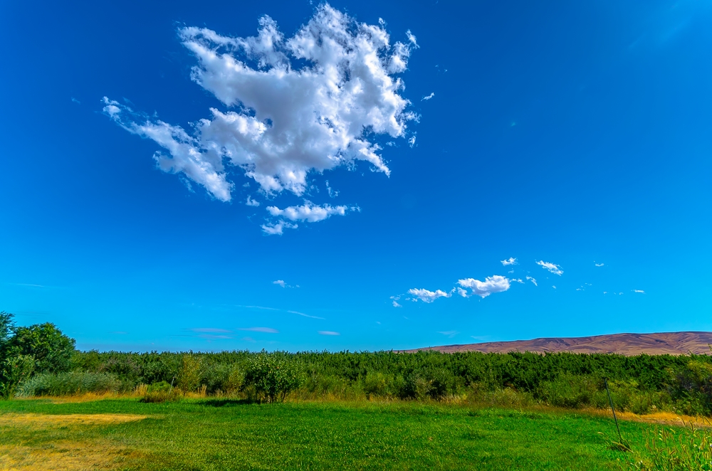 DSC_0616.jpg