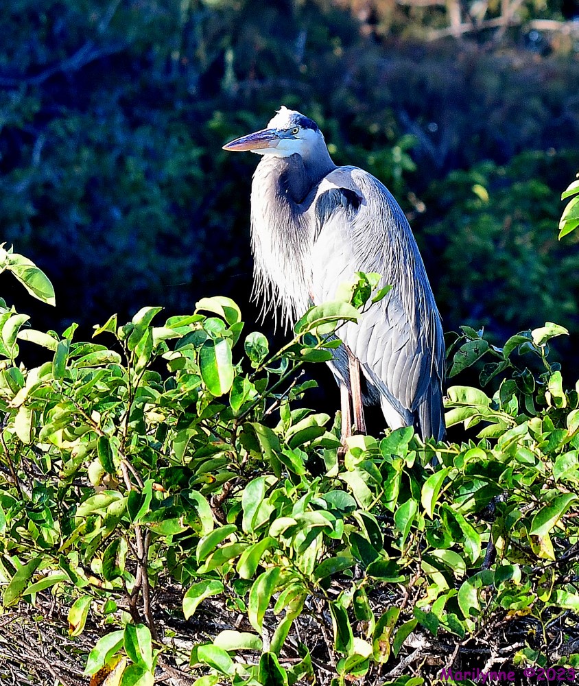 DSC_0617_001.JPG