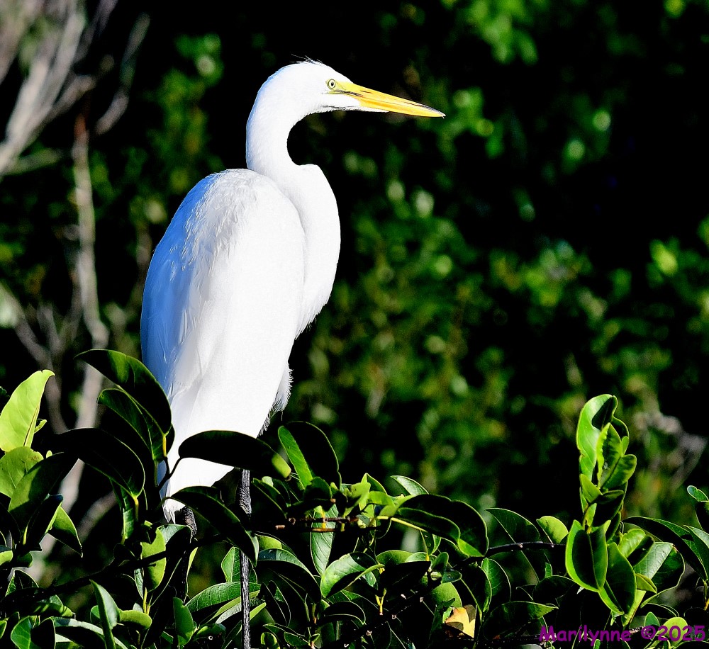 DSC_0617_001.JPG