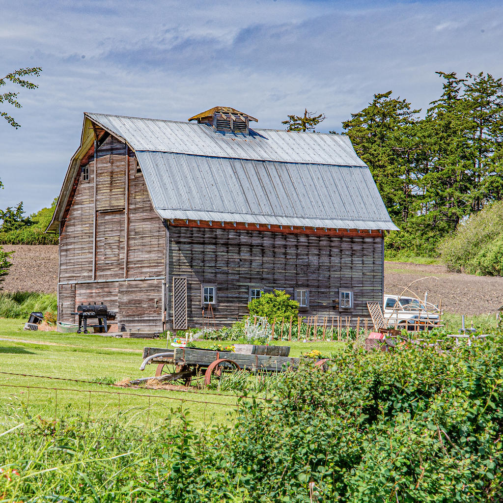 DSC_0618-Edit.jpg