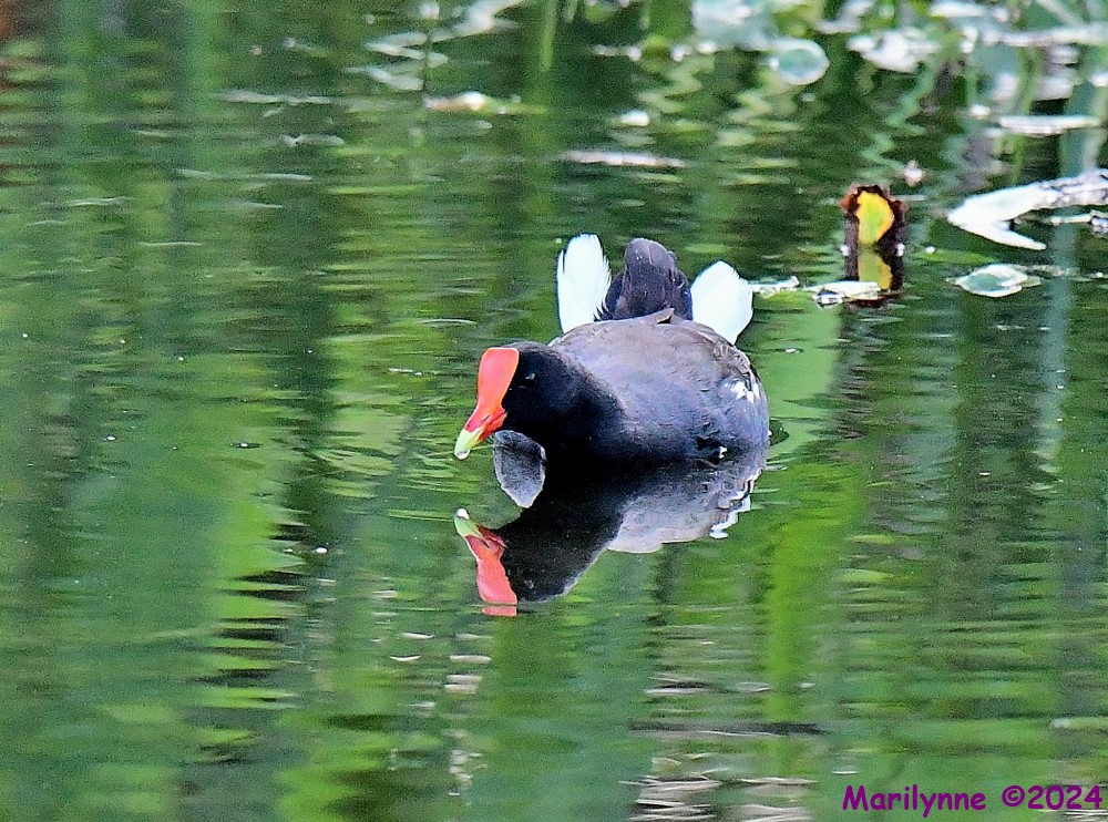 DSC_0621_001.JPG