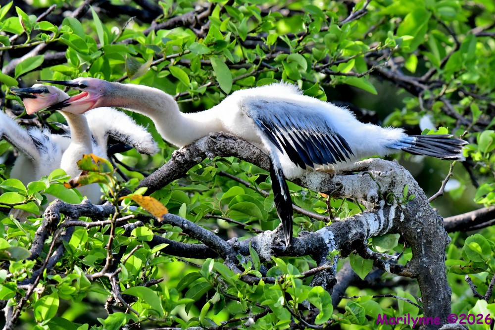 DSC_0621_001.JPG