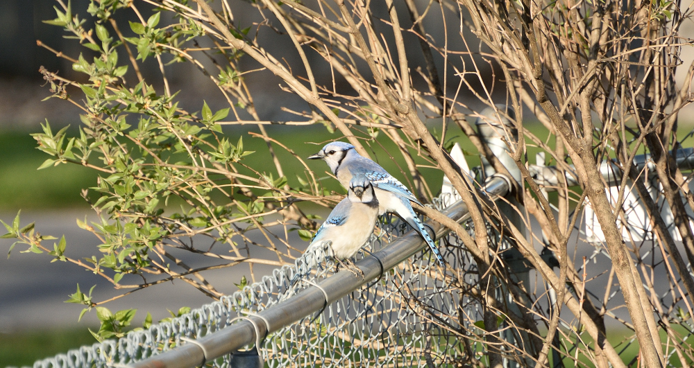 DSC_0622 nxd 3.jpg