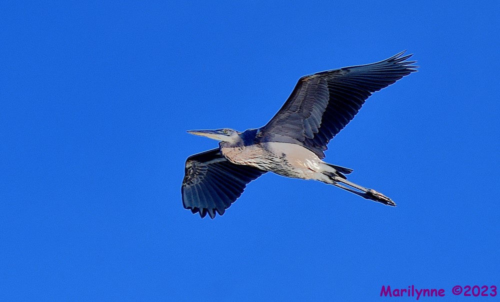 DSC_0622_001.JPG
