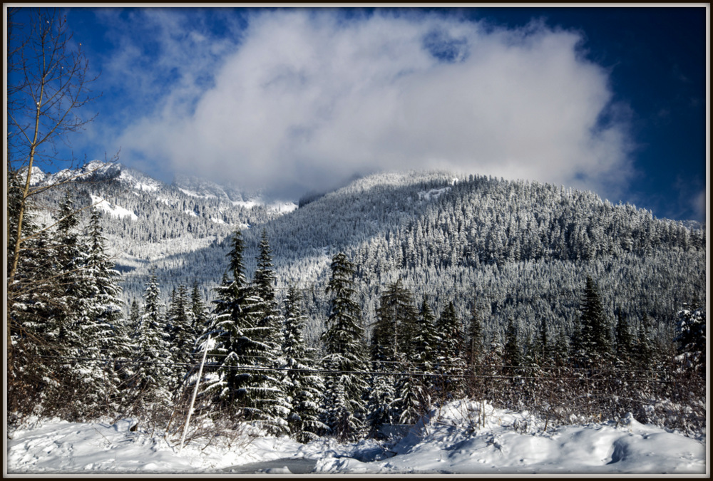 DSC_0624.jpg