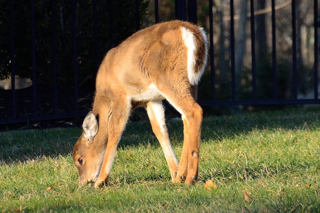 DSC_0628.jpg