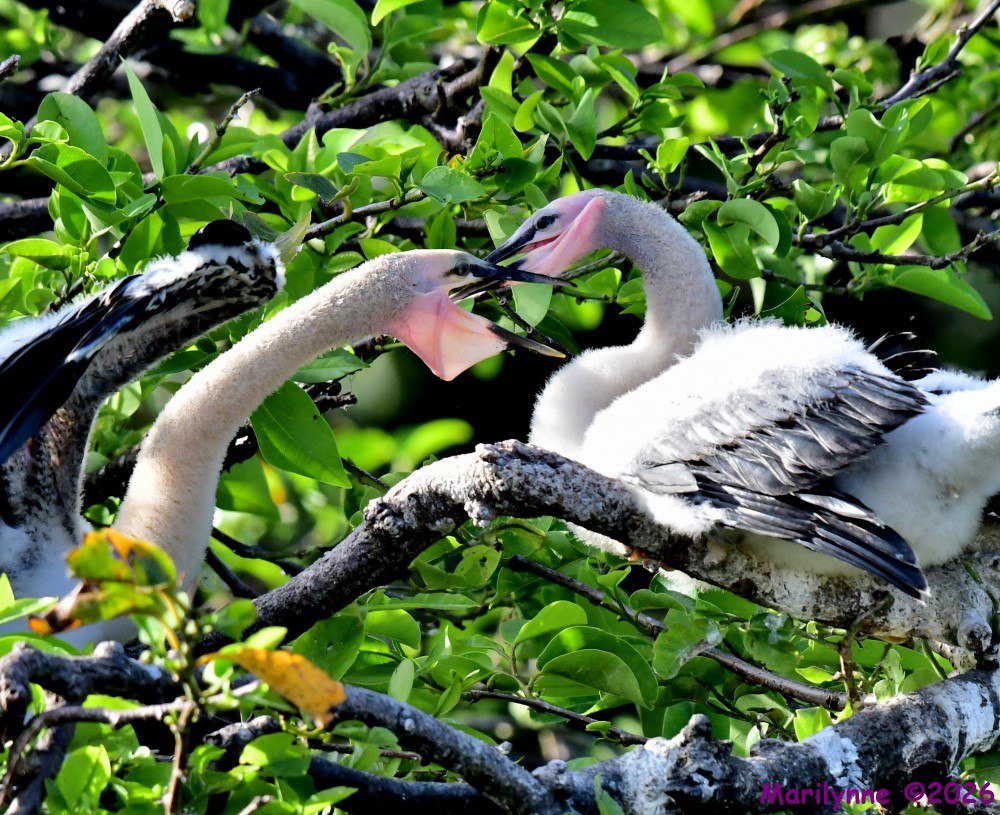 DSC_0629_001.JPG