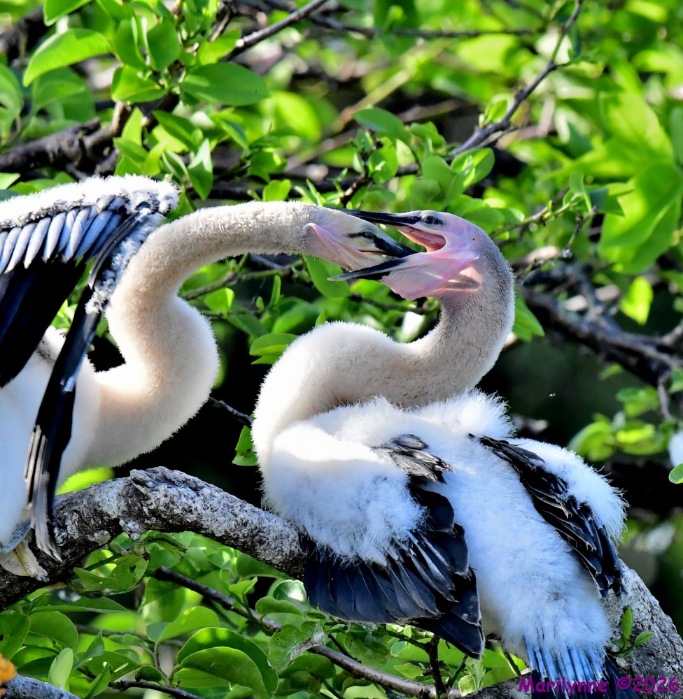 DSC_0636_001.JPG