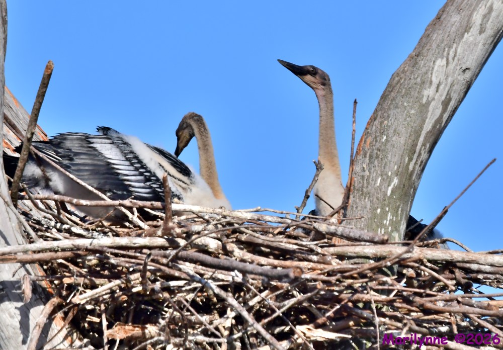 DSC_0637_001.jpg