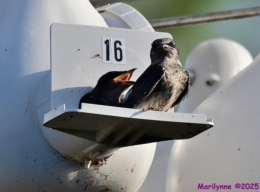 DSC_0640_001.JPG