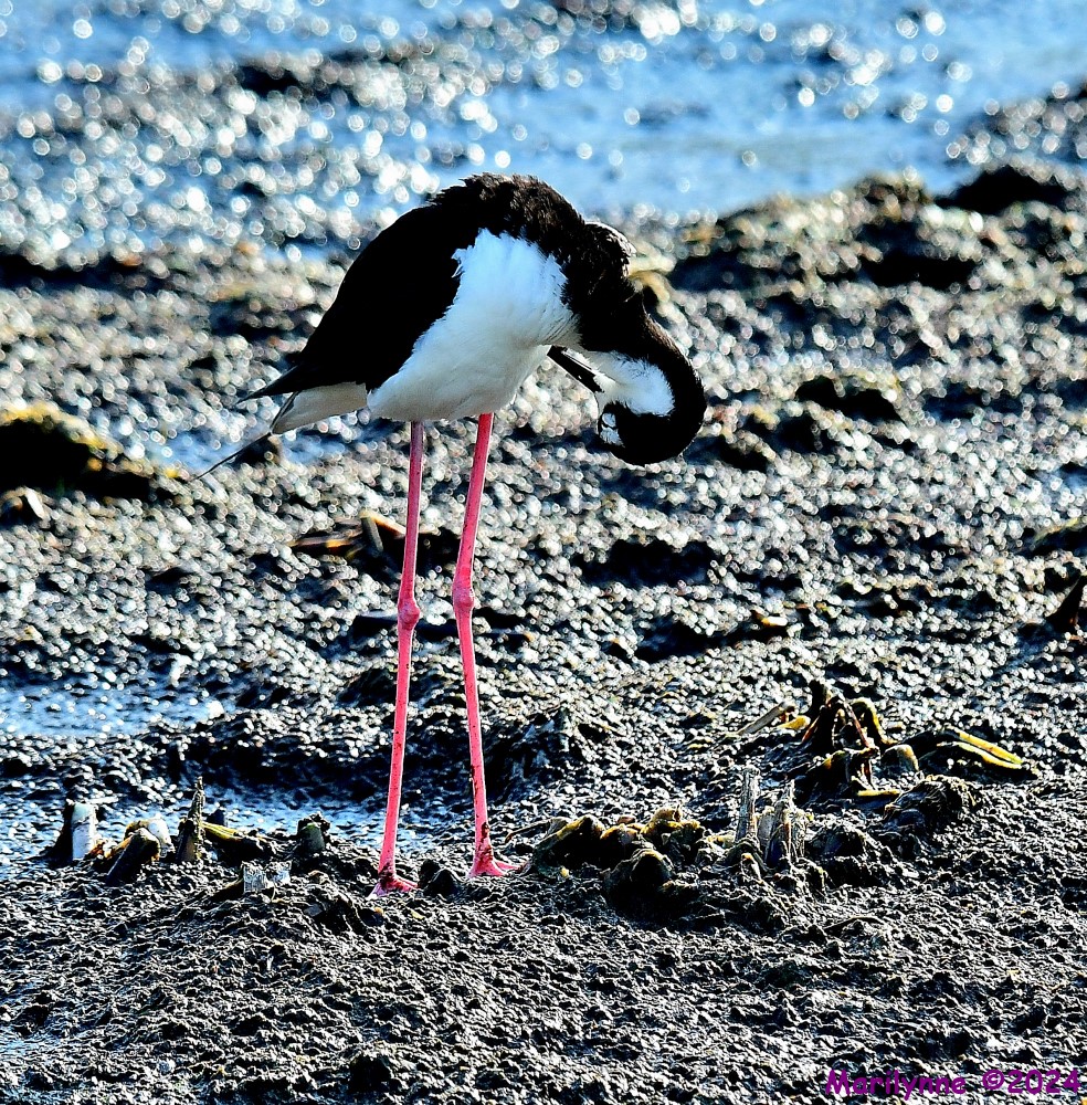 DSC_0641_001.JPG