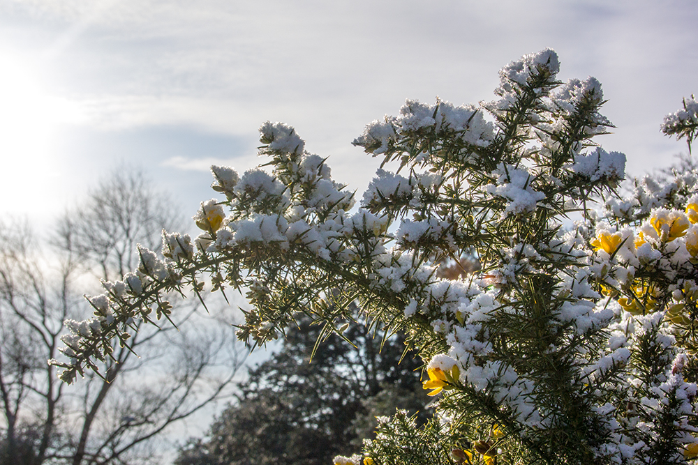 DSC_0642.jpg