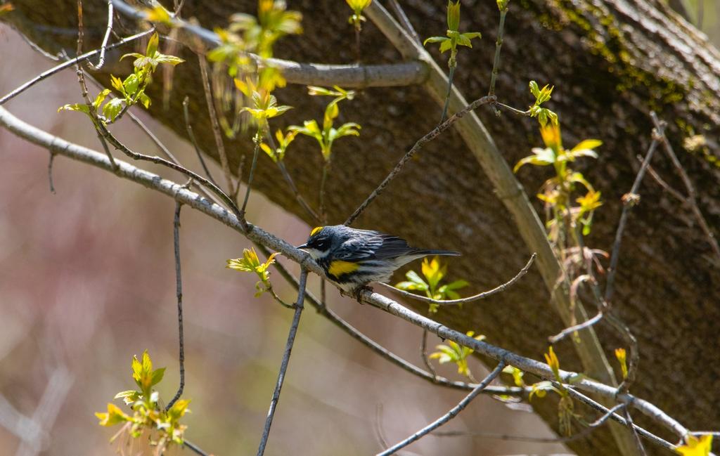 DSC_0643.jpg
