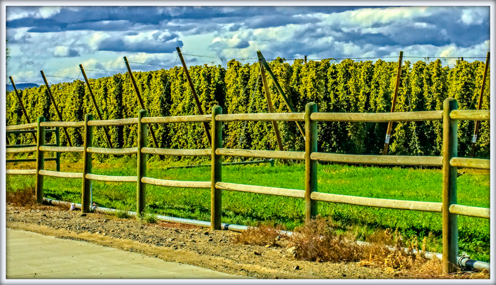 DSC_0646-Edit.jpg