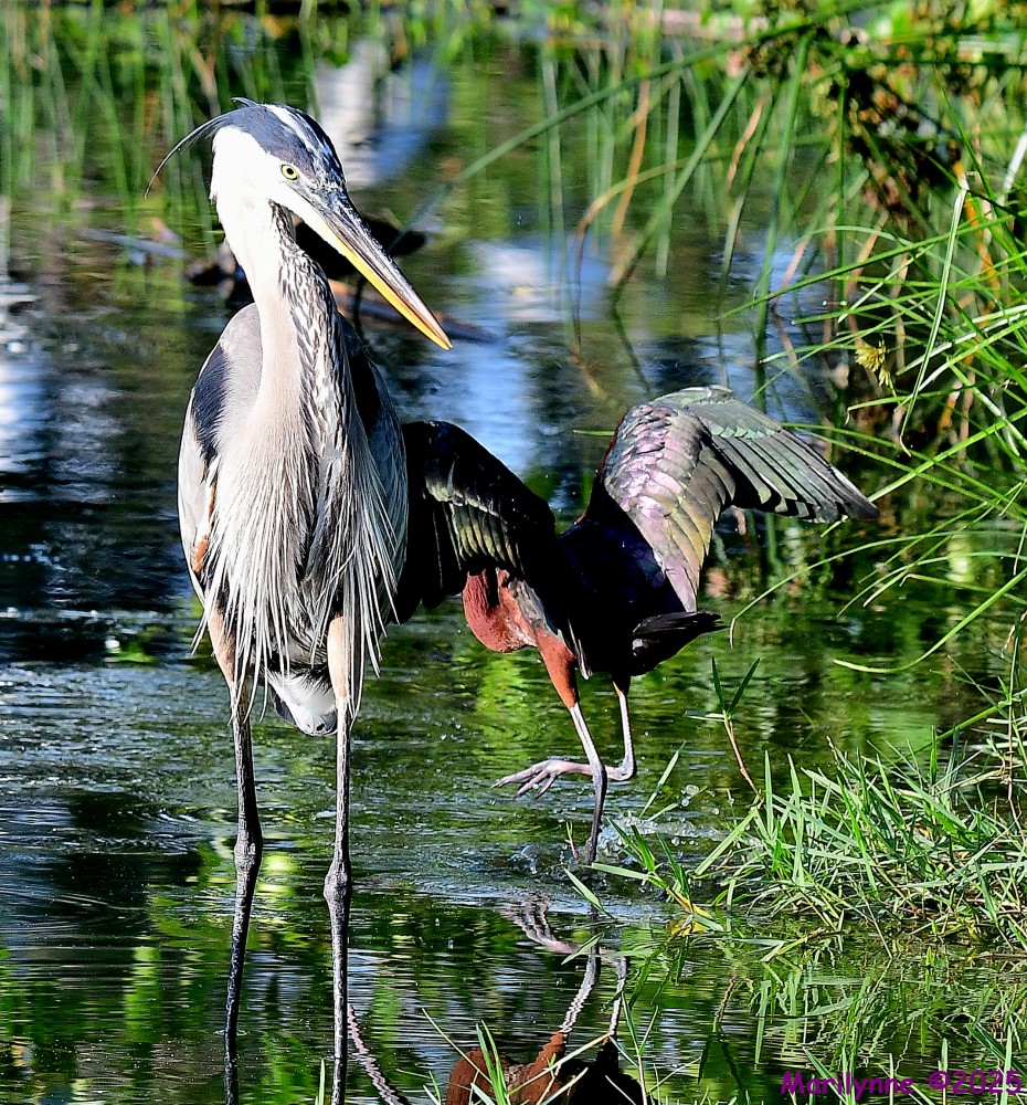DSC_0647_001.JPG