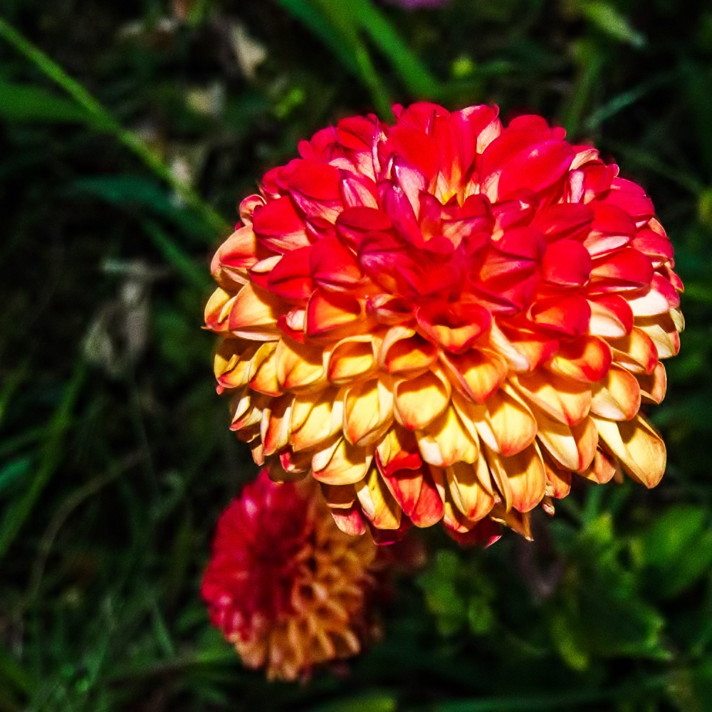 DSC_0648.jpg