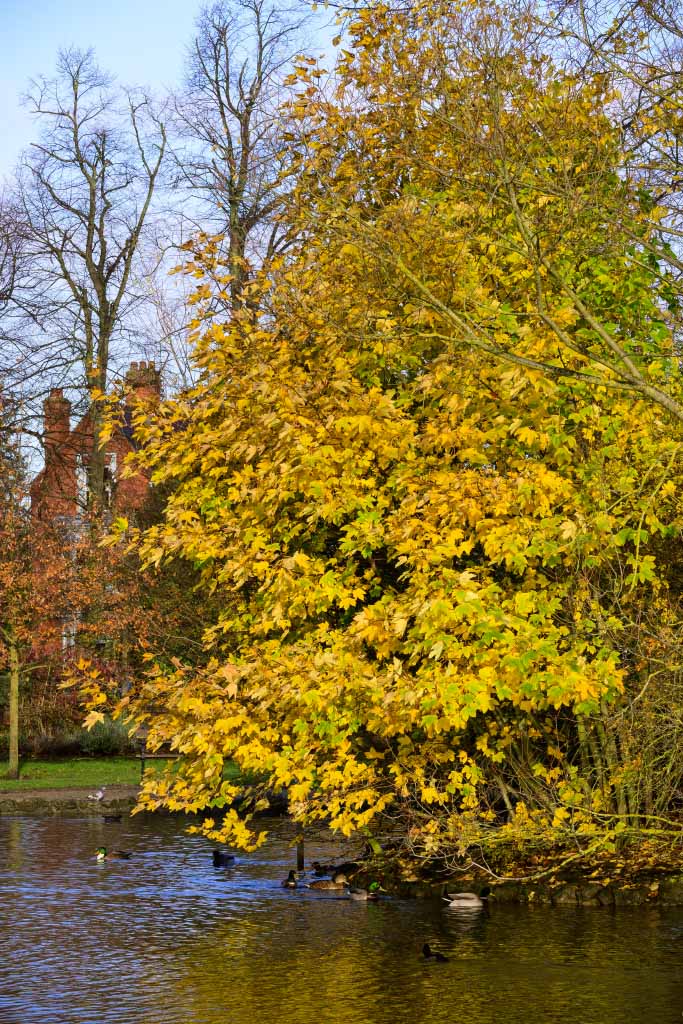 DSC_0648.jpg