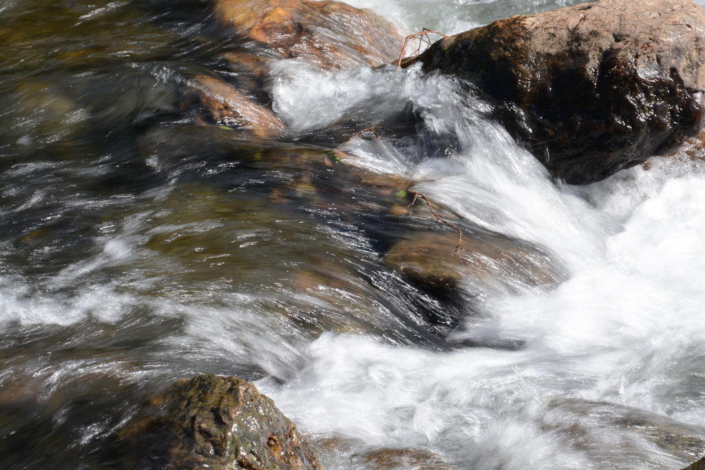 DSC_0648_resize.jpg