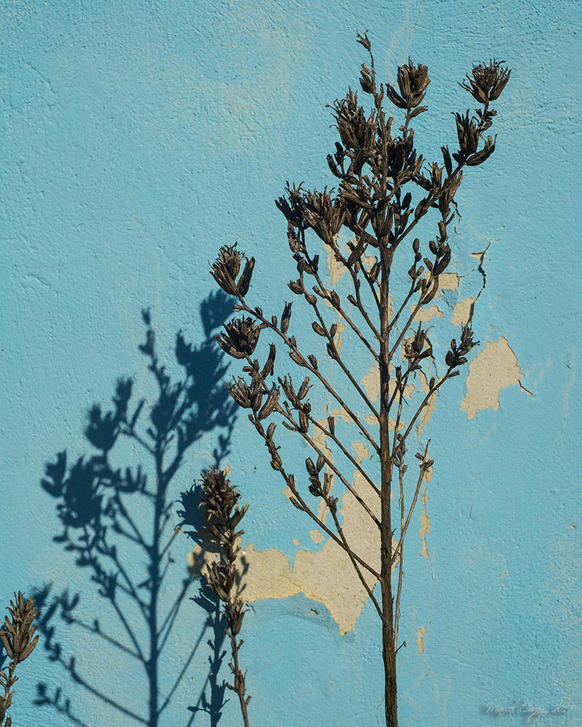 DSC_0649.jpg