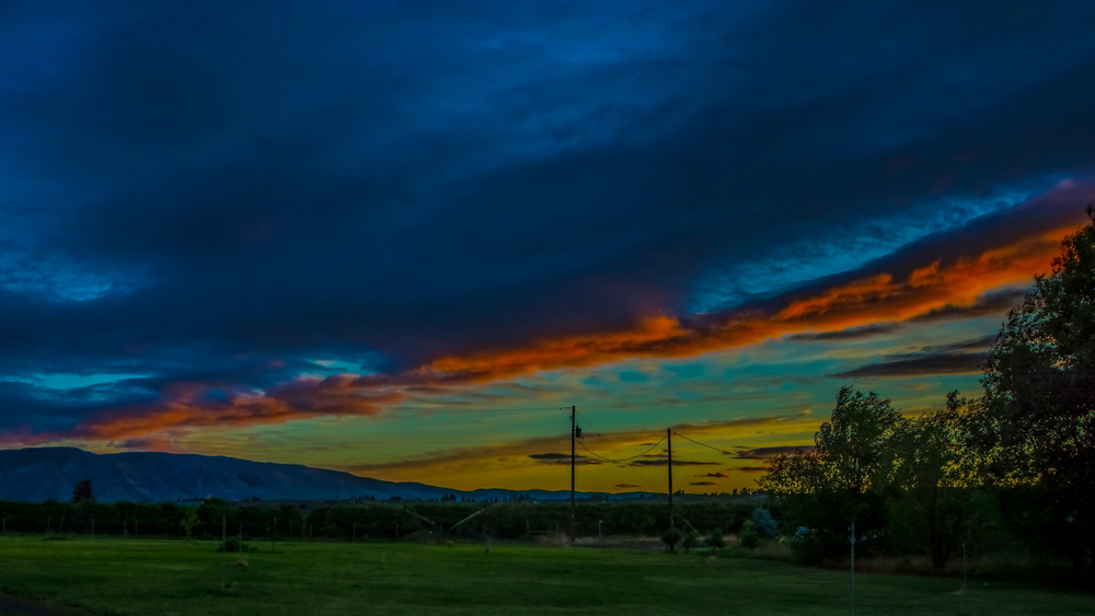 DSC_0650-Edit.jpg