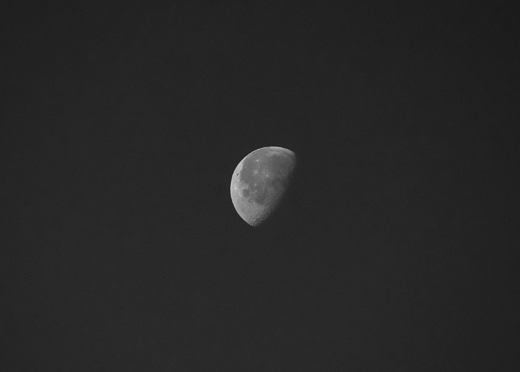 DSC_0652.jpg