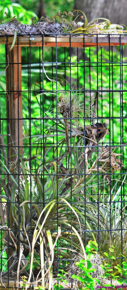 DSC_0652_stitch3_001.JPG