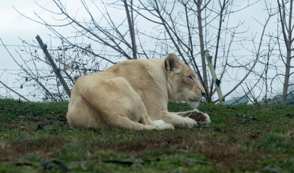DSC_0653.jpg