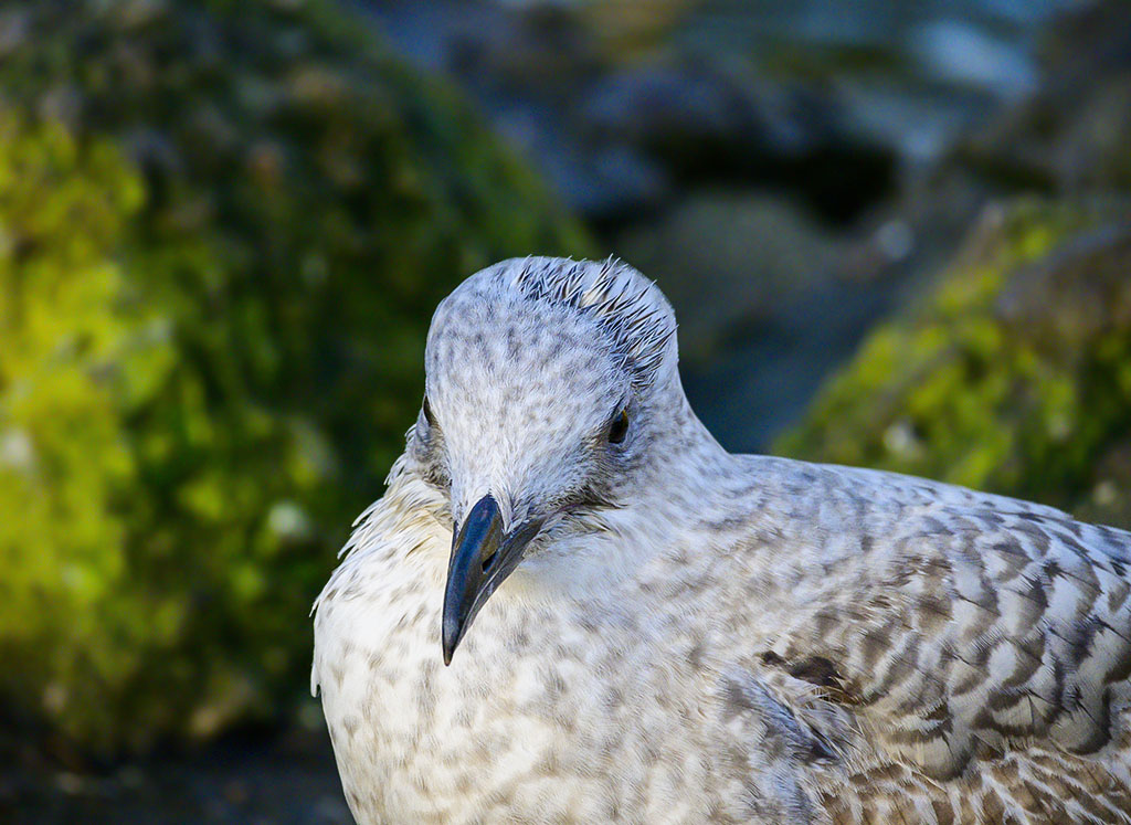 DSC_0655.jpg