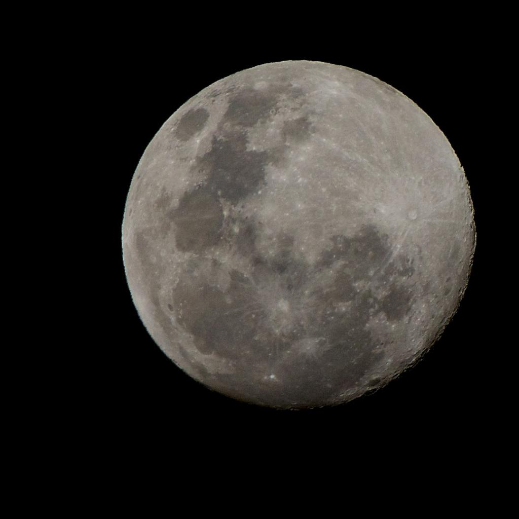 DSC_0658.jpg