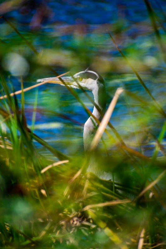 DSC_0660.jpg