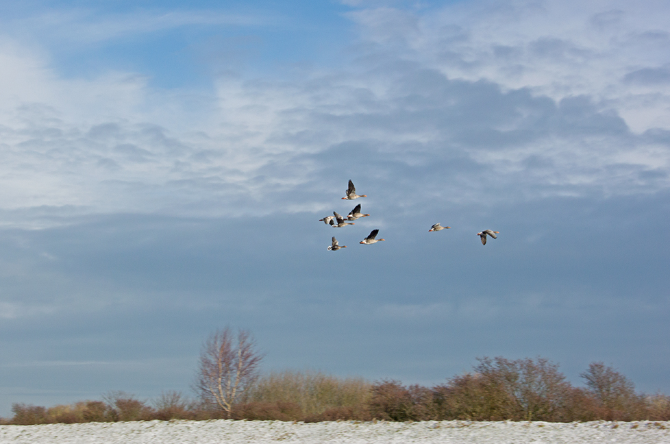 DSC_0661.jpg
