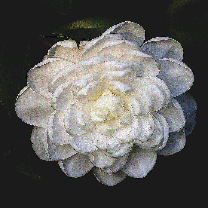 DSC_0661_2.jpg