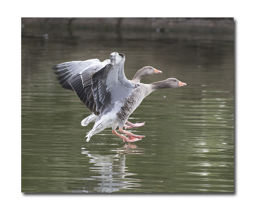 DSC_0666.jpg