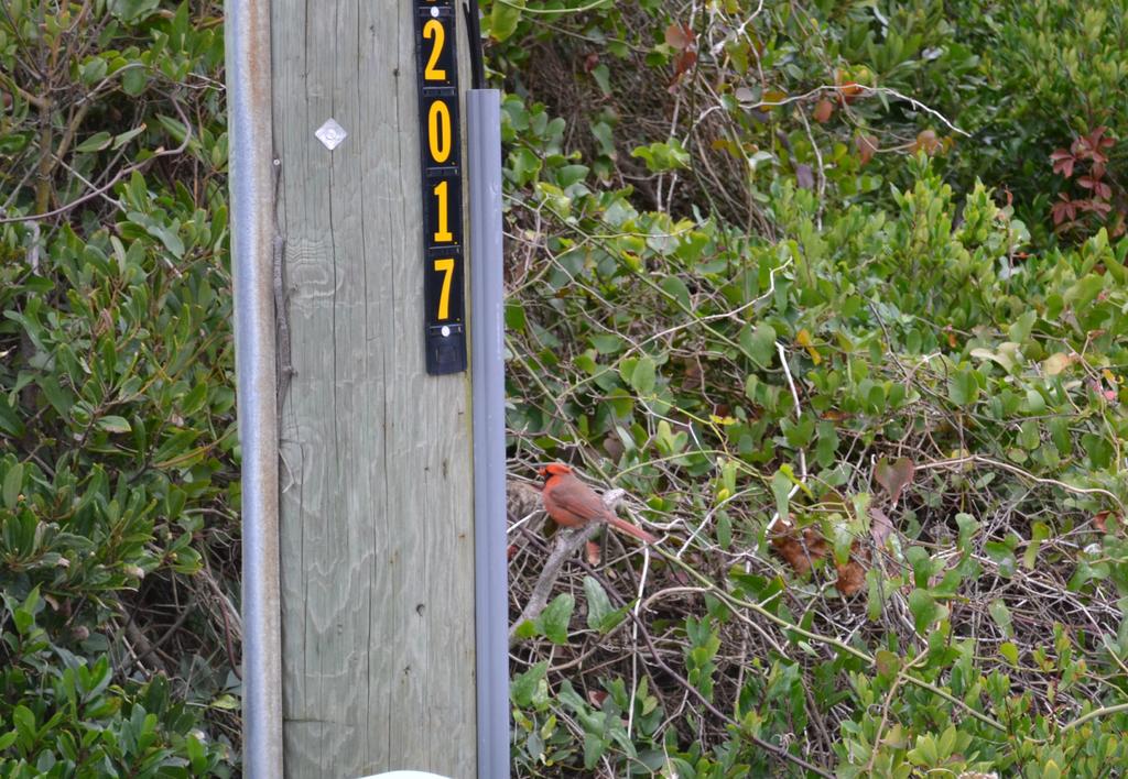 DSC_0668.jpg