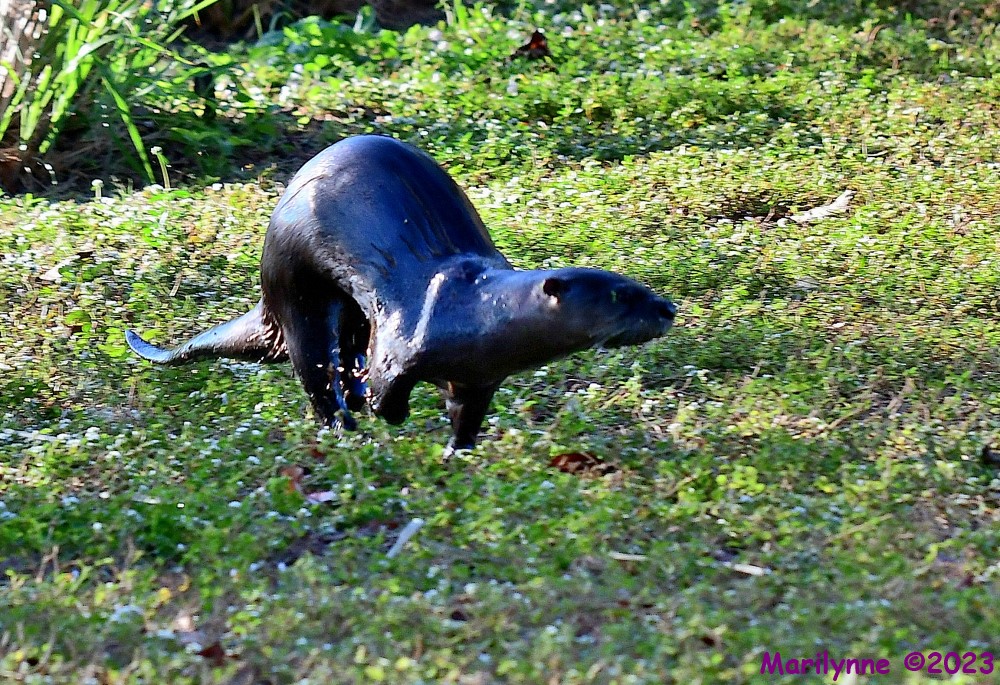 DSC_0670_001.JPG