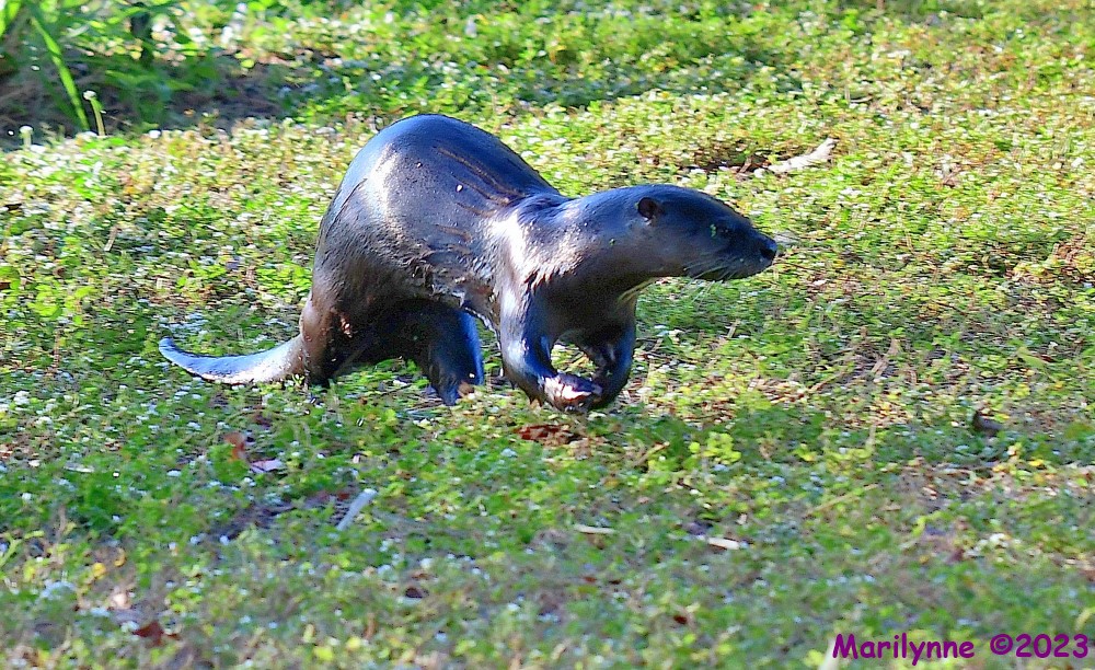 DSC_0671_001.JPG