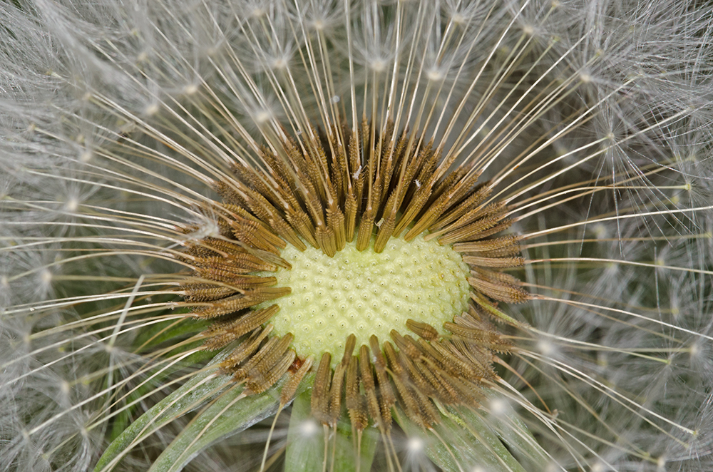 DSC_0678.jpg
