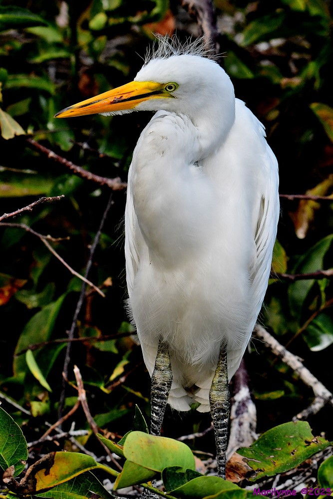 DSC_0681_001.JPG