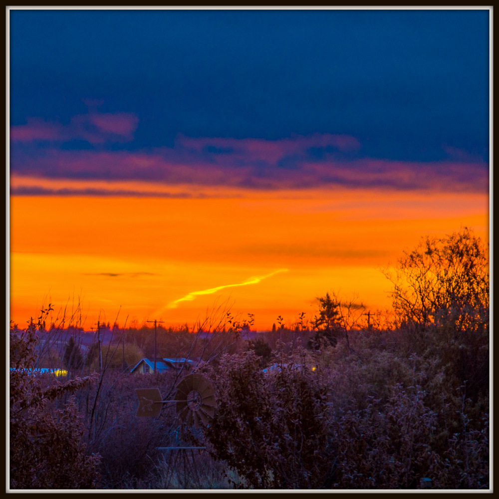 DSC_0683.jpg