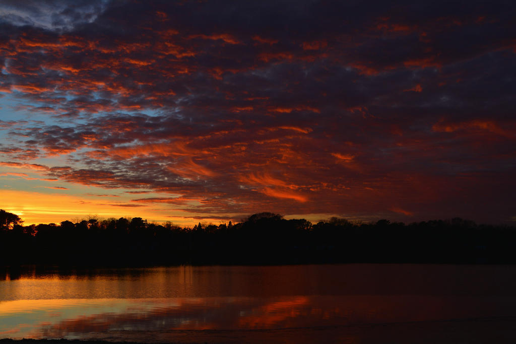 DSC_0684.jpg