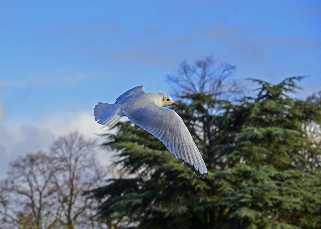 DSC_0686.jpg