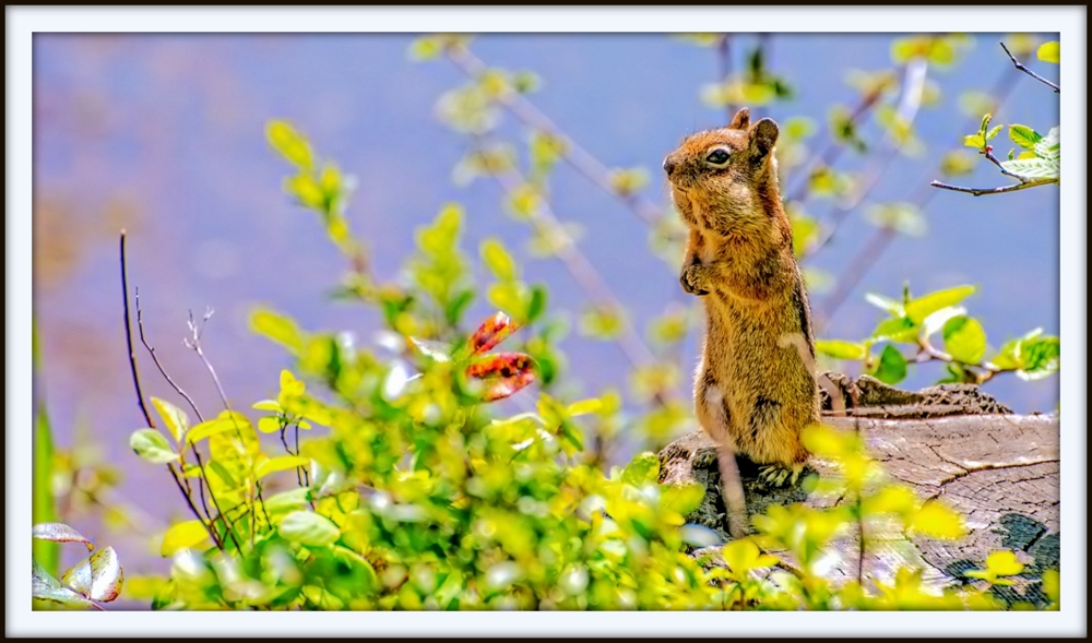 DSC_0689-Edit.jpg