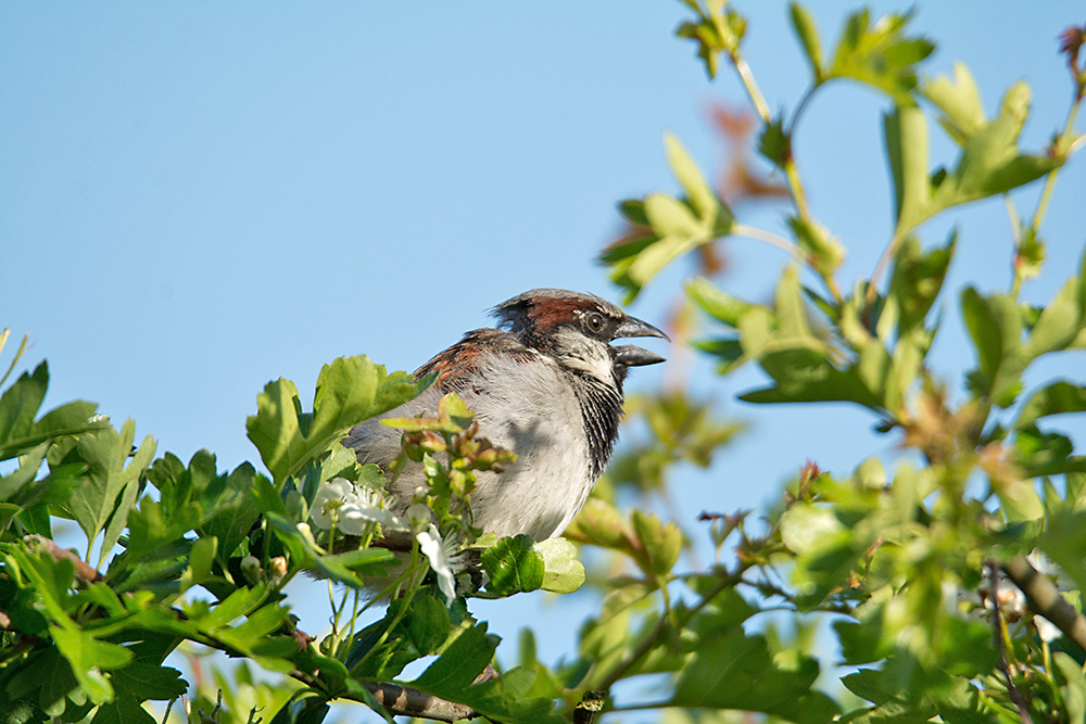 DSC_0689.jpg