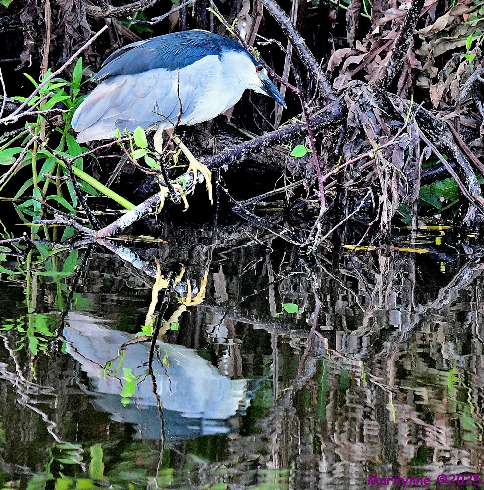 DSC_0689_001.JPG