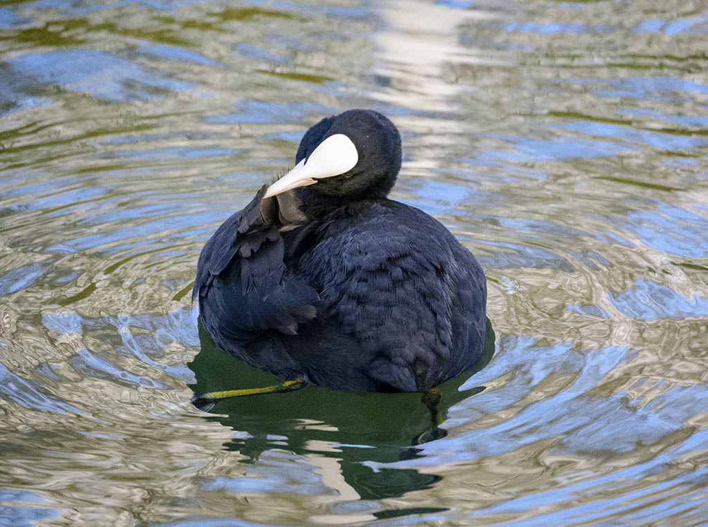 DSC_0690.jpg