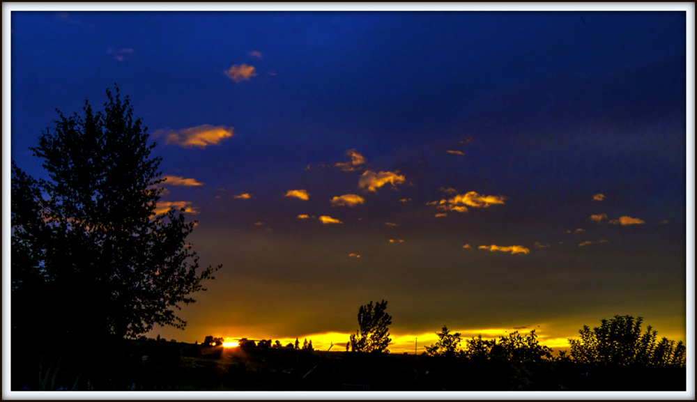 DSC_0691.jpg
