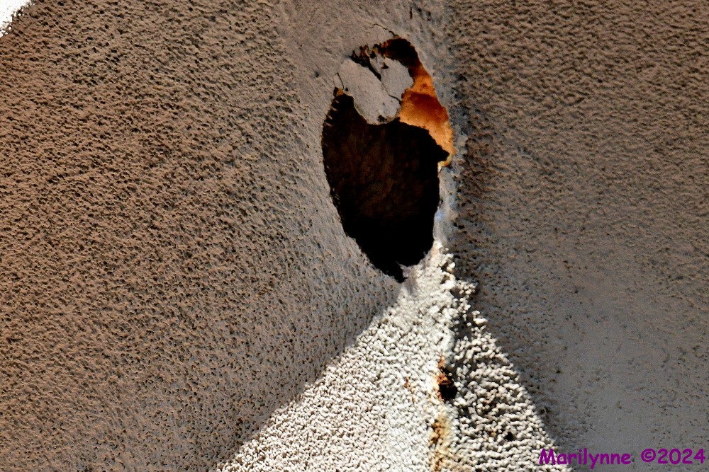 DSC_0692_001.JPG